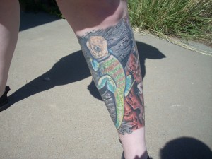 Western collared lizard, male