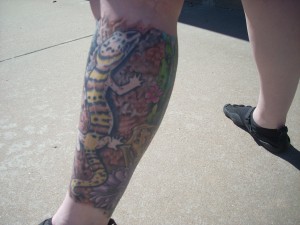 Western banded gecko, indeterminate gender