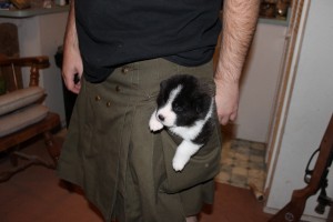 Is that a puppy in your pocket or are you happy to see me?